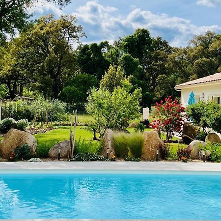 Mini Villa Pascal Paoli Avec Piscine - Proche Mer Prunelli-di-Fiumorbo Exteriér fotografie