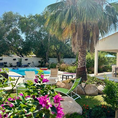 Mini Villa Pascal Paoli Avec Piscine - Proche Mer Prunelli-di-Fiumorbo Exteriér fotografie