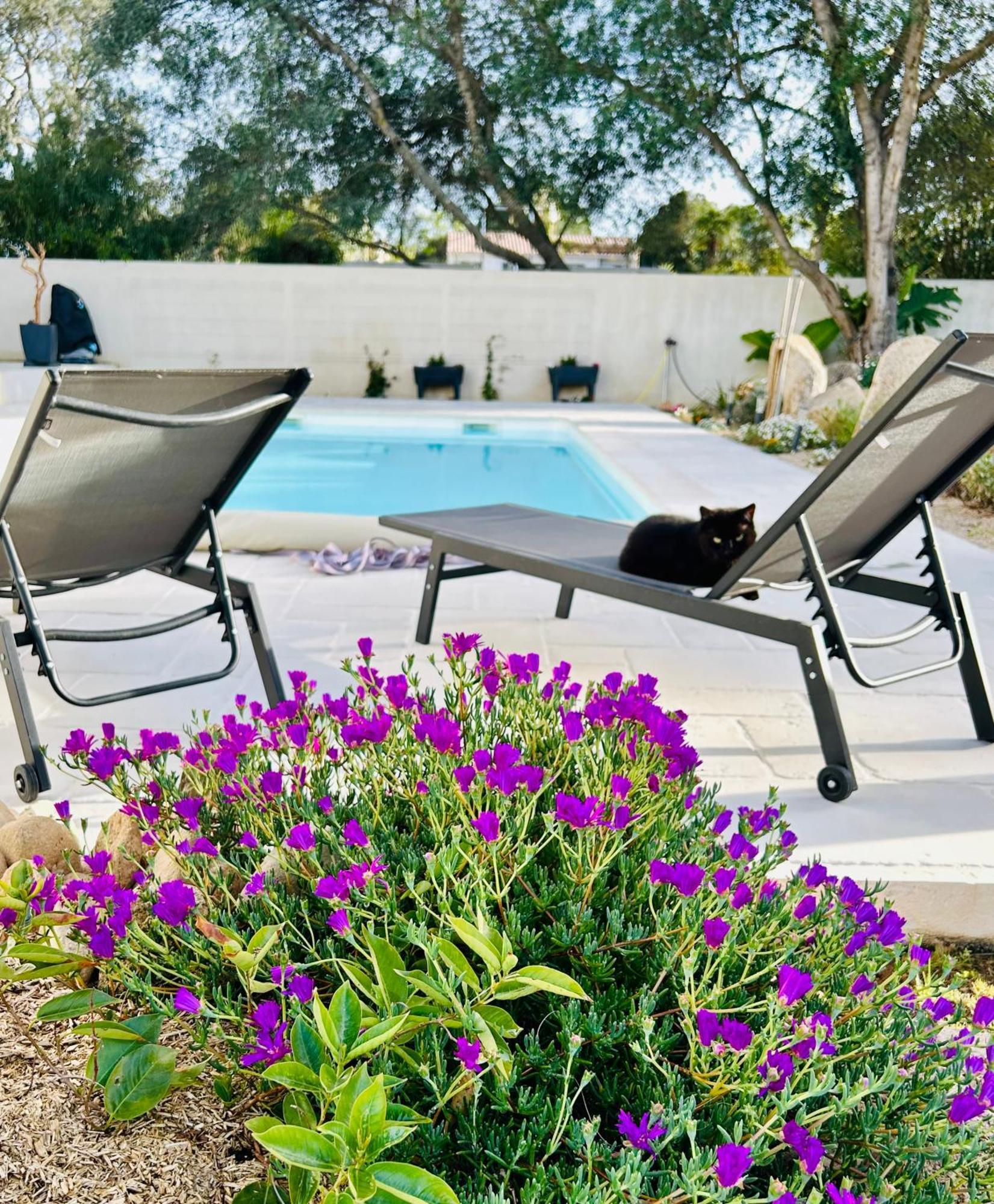 Mini Villa Pascal Paoli Avec Piscine - Proche Mer Prunelli-di-Fiumorbo Exteriér fotografie