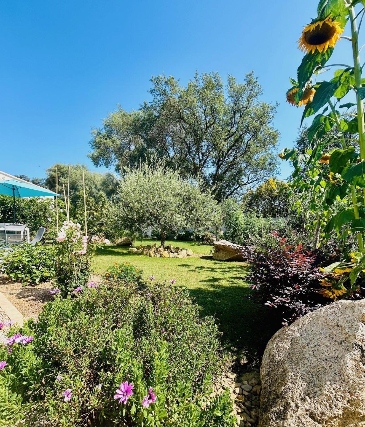Mini Villa Pascal Paoli Avec Piscine - Proche Mer Prunelli-di-Fiumorbo Exteriér fotografie